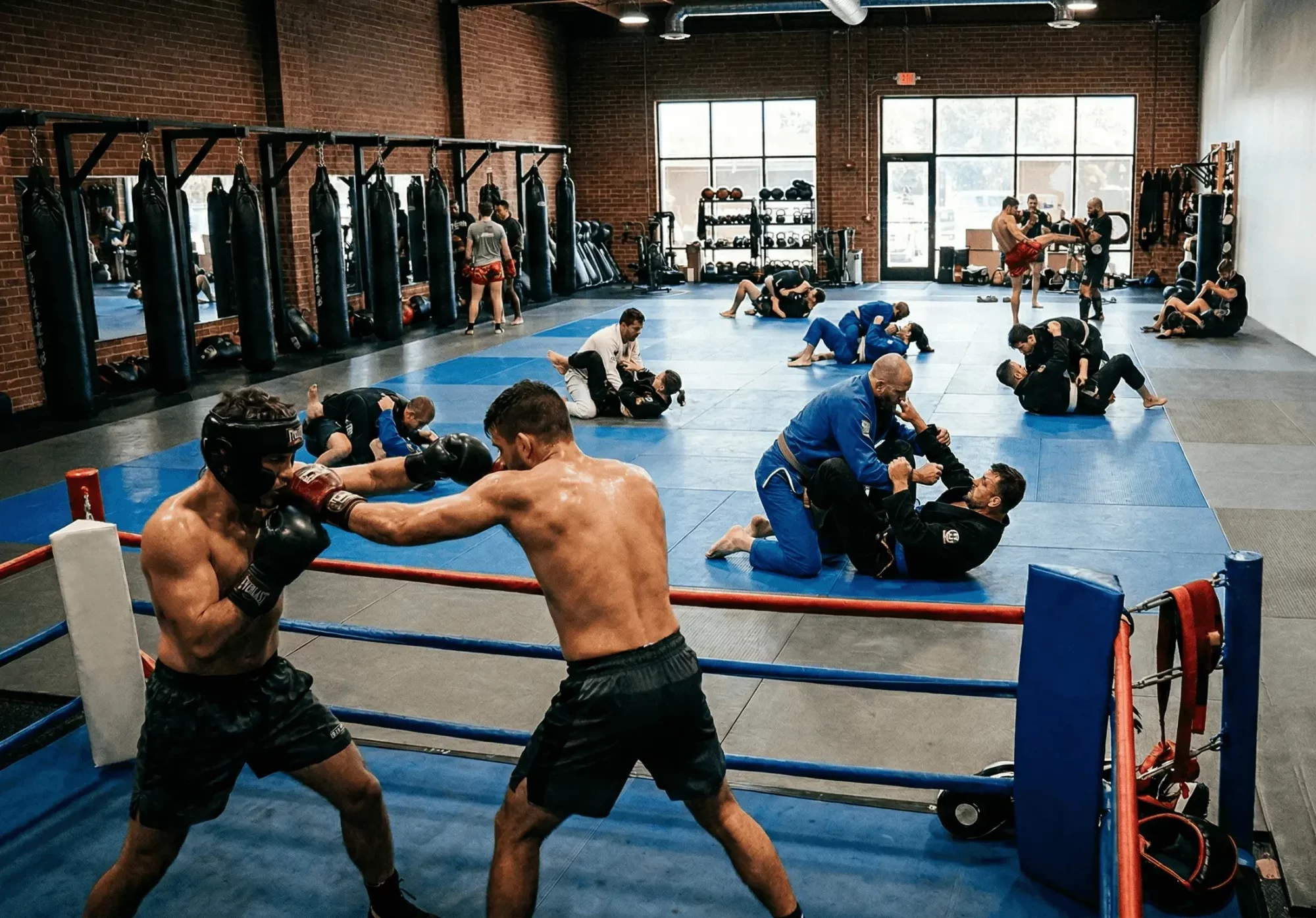 Comparación de las mejores artes marciales para MMA incluyendo BJJ, Muay Thai, lucha libre y boxeo